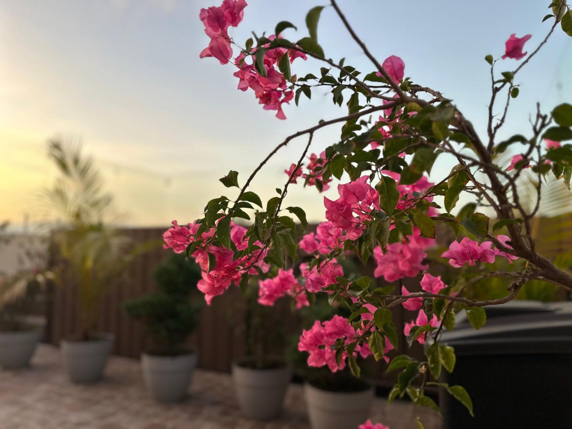 فندق Sky Garden جواتيمالا المظهر الخارجي الصورة