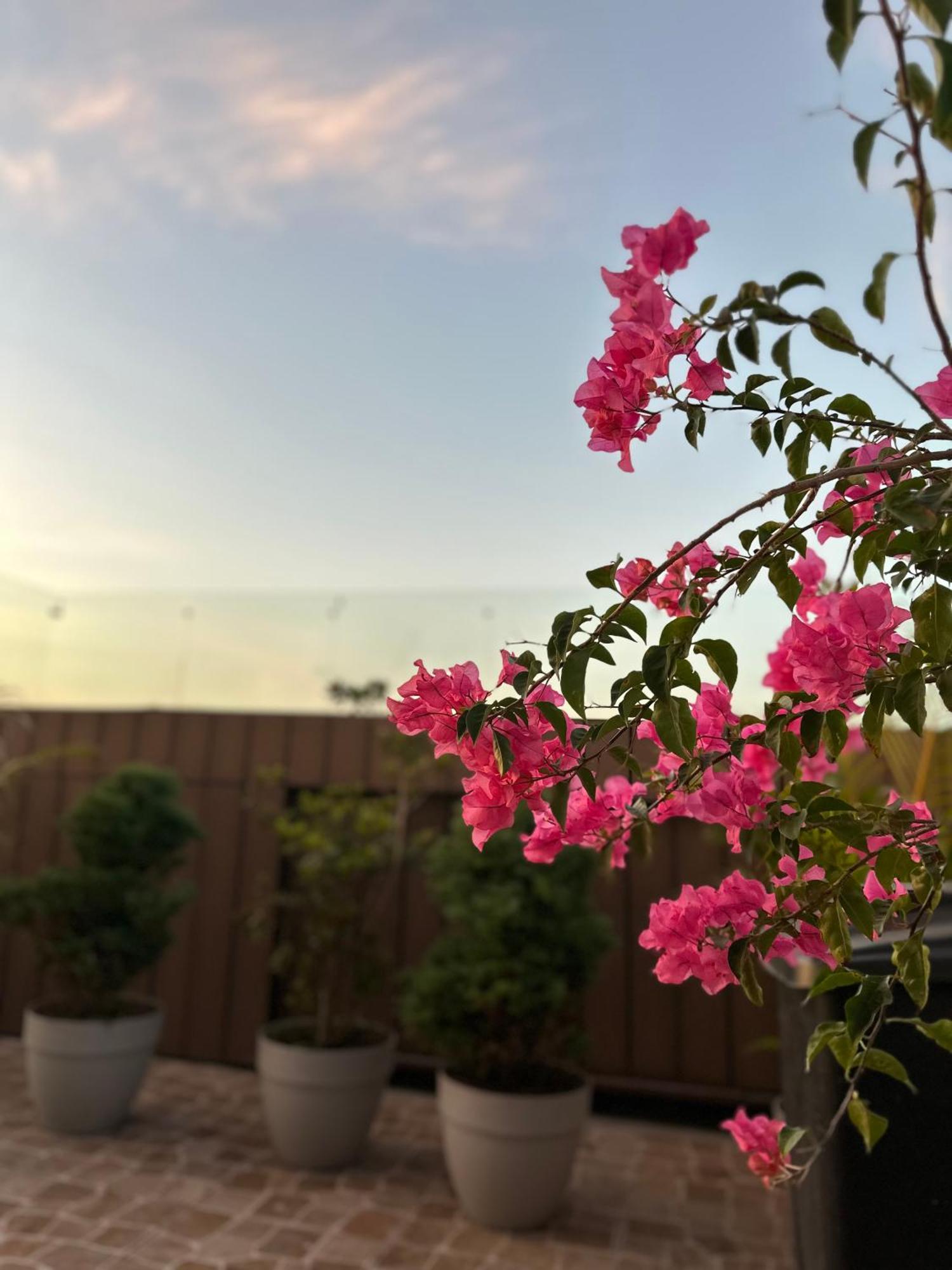 فندق Sky Garden جواتيمالا المظهر الخارجي الصورة